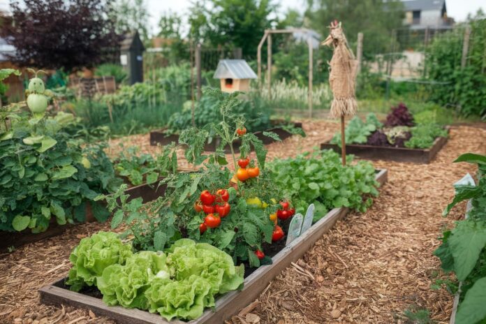 Is organic gardening worth it